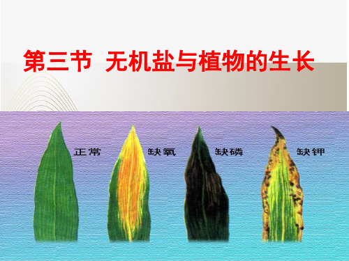 八年级上册生物第三节《无机盐与植物的生长》