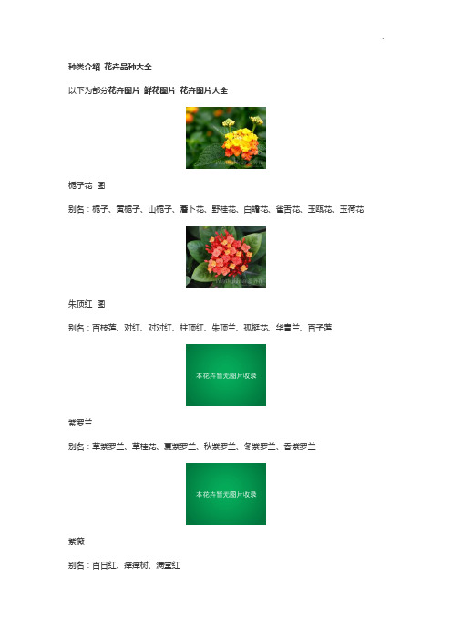 花的种类介绍花卉品种全套整合鲜花图片花卉图片全套整合