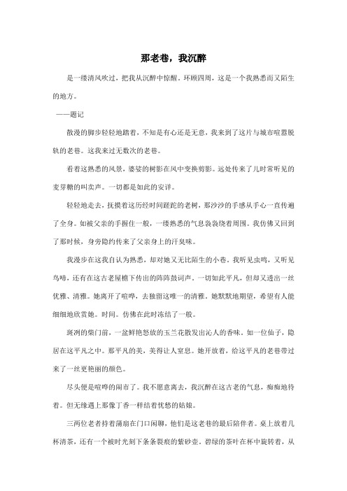 那老巷,我沉醉_初中初二作文900字