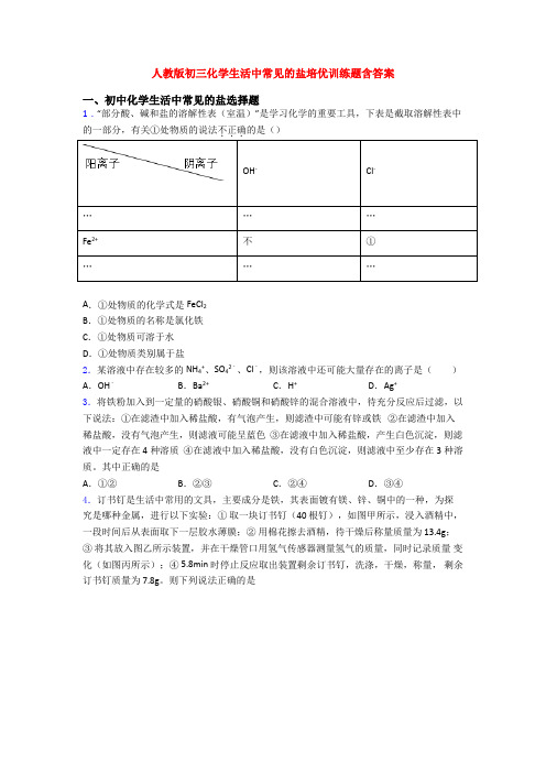 人教版初三化学生活中常见的盐培优训练题含答案