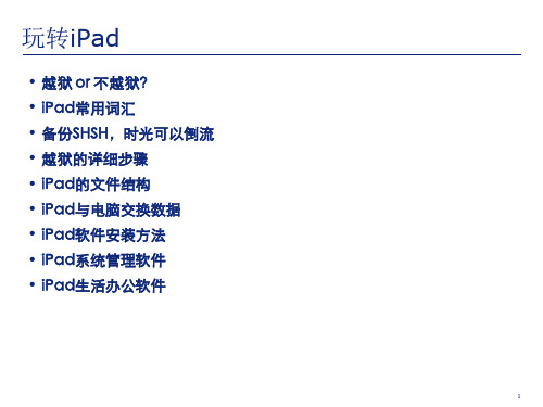 玩转ipad