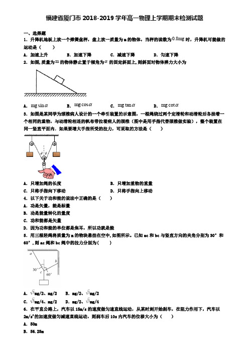 福建省厦门市2018-2019学年高一物理上学期期末检测试题