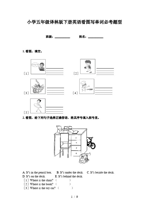 小学五年级译林版下册英语看图写单词必考题型