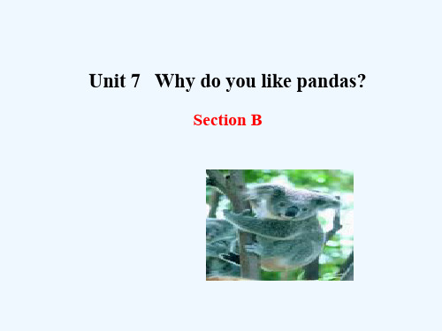 鲁教版英语六下Unit 7《Why do you like pandas》(Section B)ppt课件