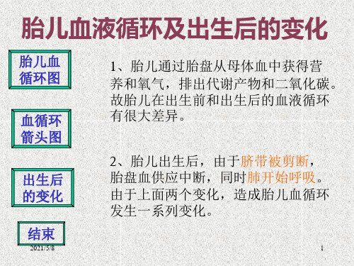 胎儿血液循环图参考PPT