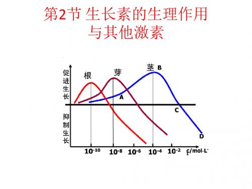 生物必修三第三章第2、3节生长素的生理作用与 其他激素