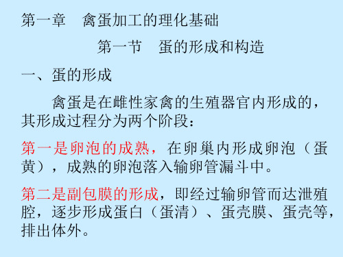 02第一章第一节禽蛋的形成与构造