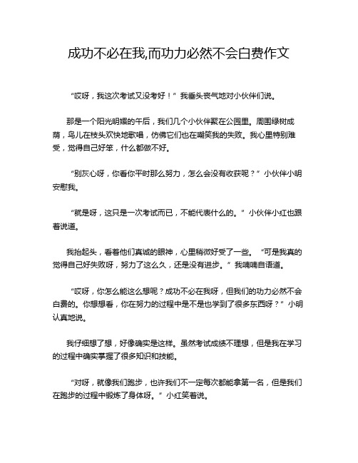 成功不必在我,而功力必然不会白费作文