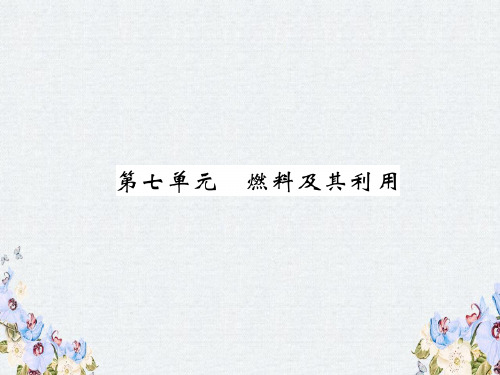 2019届中考化学复习第1编教材知识梳理篇第7单元燃料及其利用精讲课件