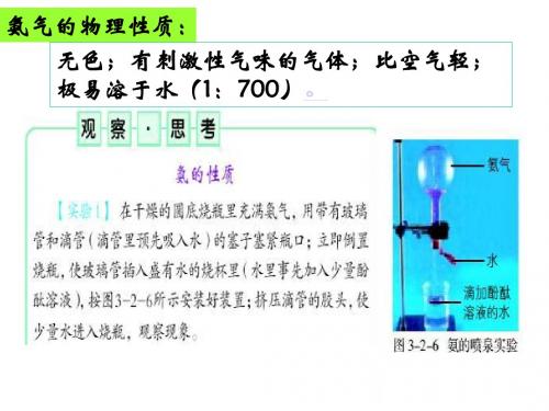 氨 课件(17张)