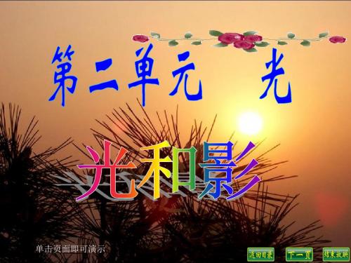 教科版五年级科学上册第二单元课件