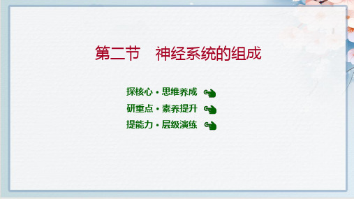 2022年人教版七年级下册生物第四单元第六章第二节 神经系统的组成