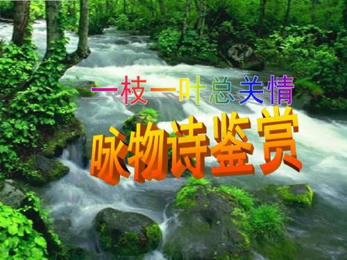 【高考语文】高考复习一枝一叶总关情:咏物诗鉴赏ppt