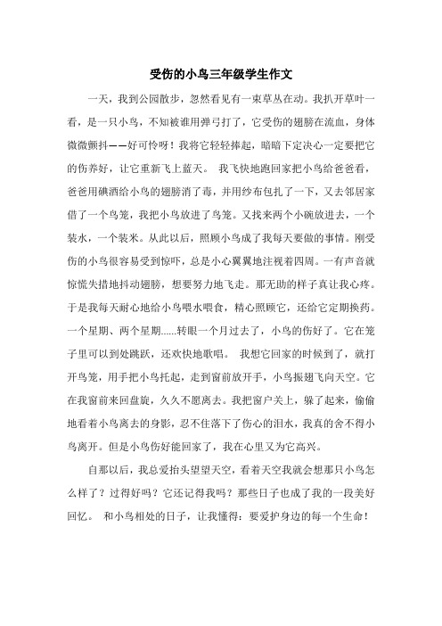 《受伤的小鸟三年级学生作文》小学三年级作文