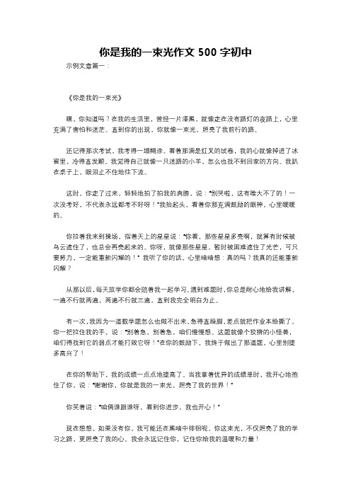 你是我的一束光作文500字初中