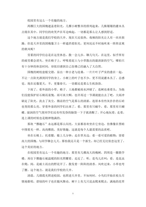 精选校园里有这么一个有趣的地方作文700字初一