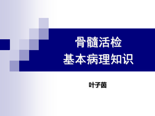 骨髓活检基本病理知识