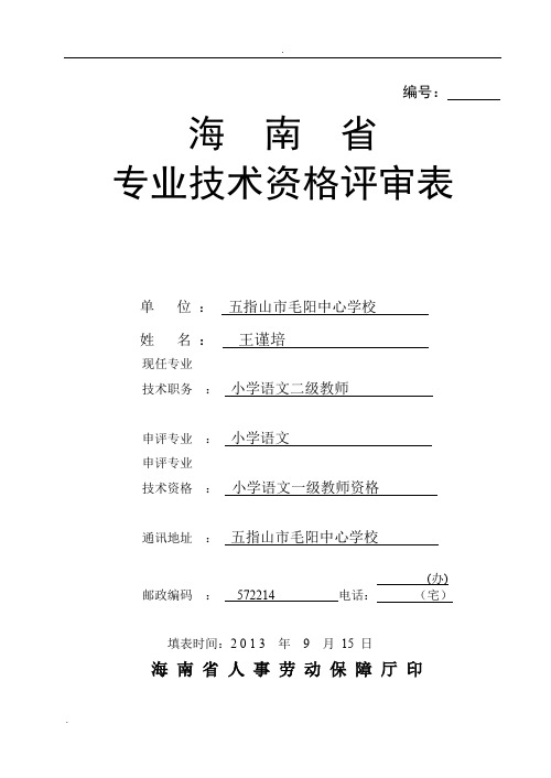 海南省专业技术资格评审表(A4一式二份。打印正反面) 