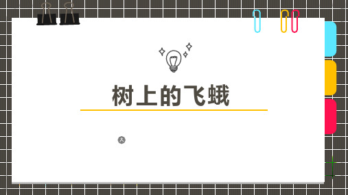 2024年8岁-12岁彩铅《树上的飞蛾》-美术课件