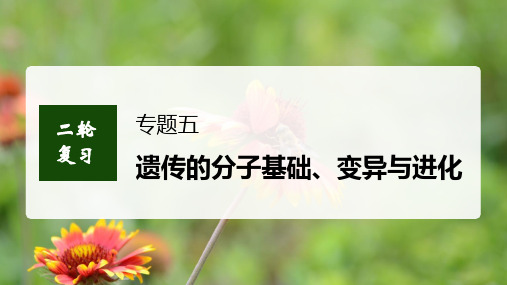 2022届高考生物二轮复习课件  遗传的分子基础、变异与进化