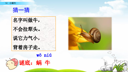 小蜗牛优质(完整版)ppt1