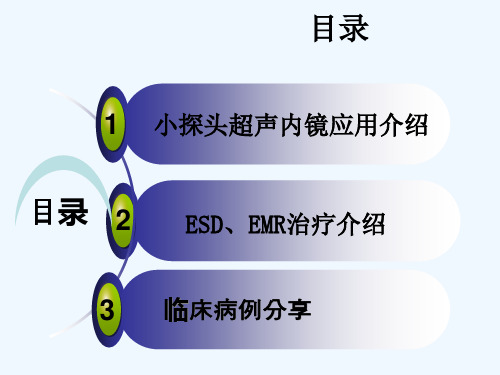 小探头超声内镜联合EMRESD诊疗消化道隆起病变并病例分享