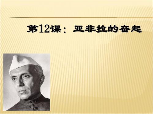 亚非拉的奋起PPT课件11 人教版