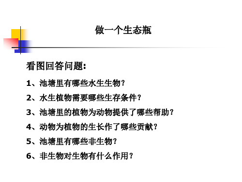 教科版小学科学五年级上册第一单元《做一个生态瓶》课件