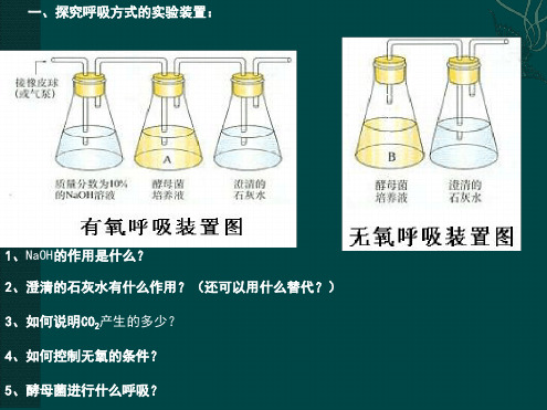 必修53呼吸作用重点难点总结