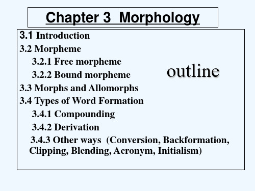 语言学第三章chapter3 PPT