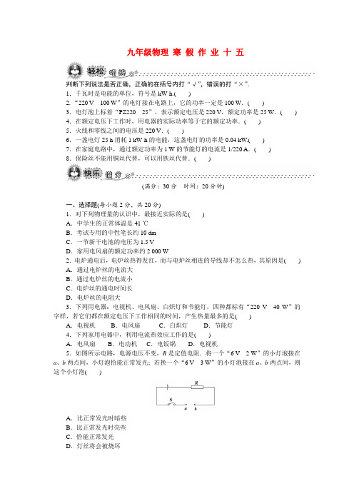 九年级物理寒假作业 15(电功率)(练习配答案)