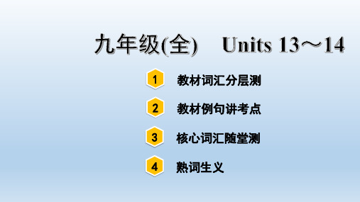 中考英语复习九年级(全)Units 13～14