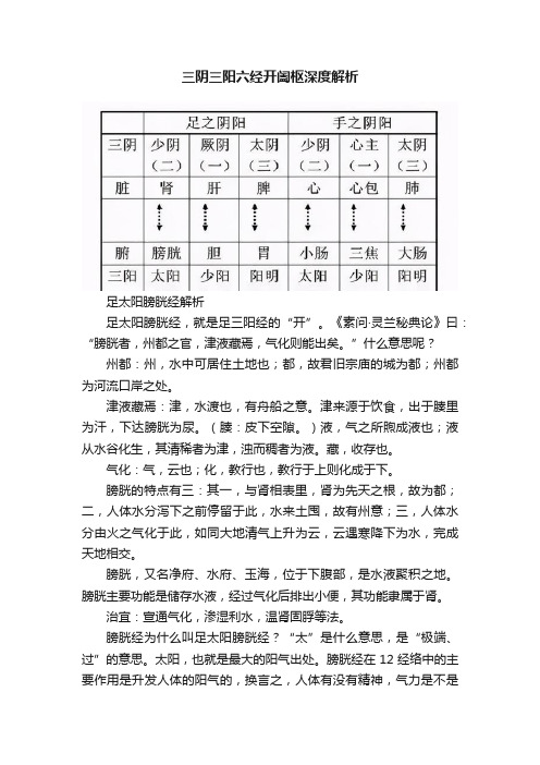 三阴三阳六经开阖枢深度解析