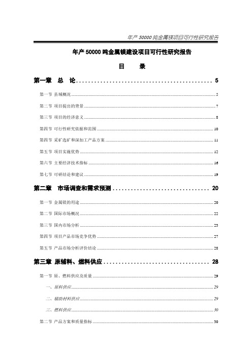 年产50000吨金属镁建设项目可行性研究报告