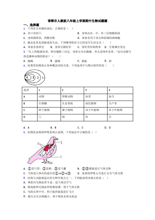 邯郸市人教版八年级上学期期中生物试题题