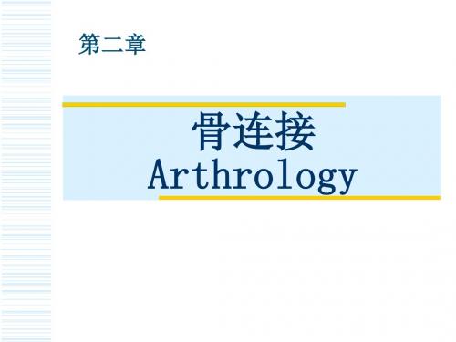 4第二章骨连结