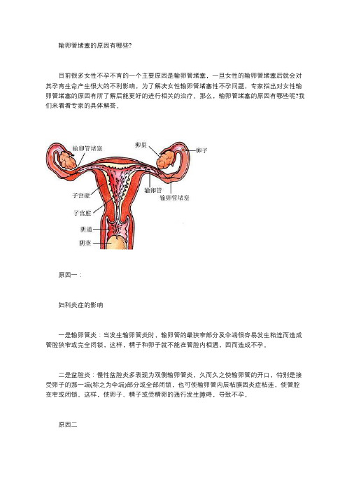 输卵管堵塞的原因有哪些