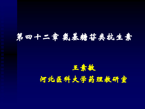 第四十二章  氨基糖苷类抗生素(机制图)