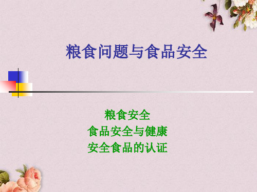 粮食问题与食品安全(ppt 68页)