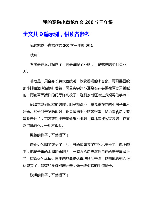 我的宠物小青龙作文200字三年级