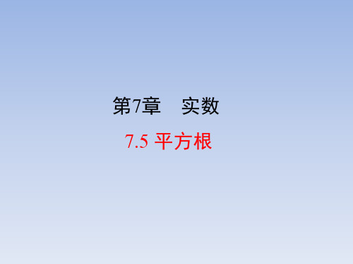 青岛版八年级数学下册平方根课件(共17张)