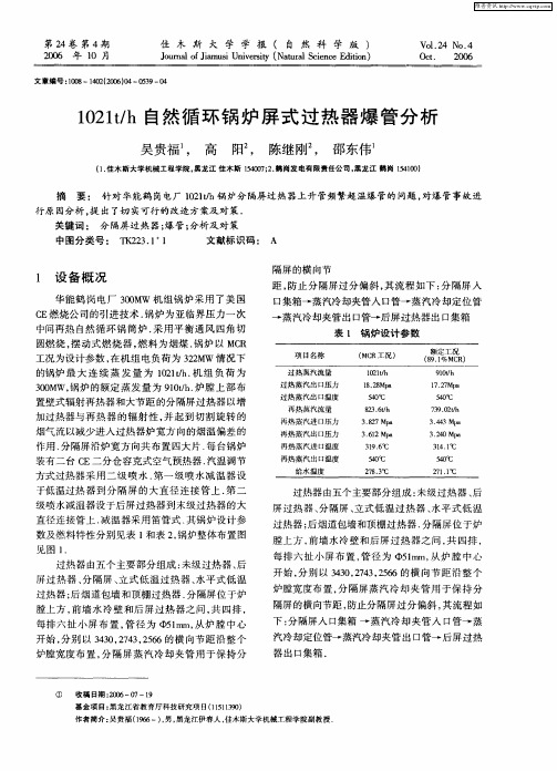 1021t／h自然循环锅炉屏式过热器爆管分析