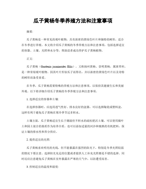 瓜子黄杨冬季养殖方法和注意事项