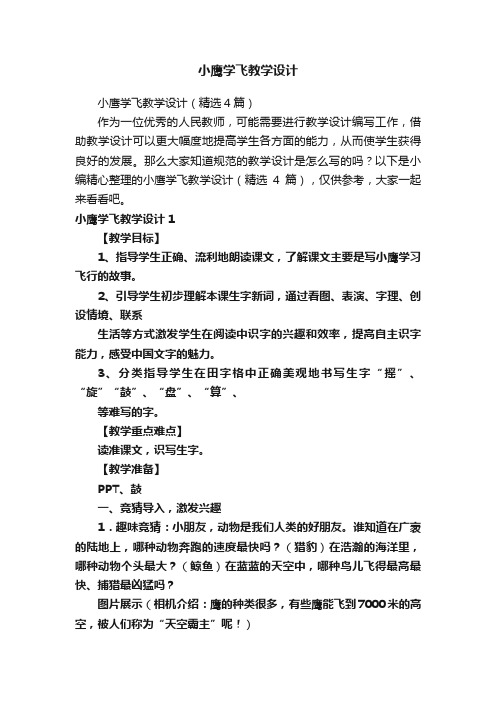 小鹰学飞教学设计