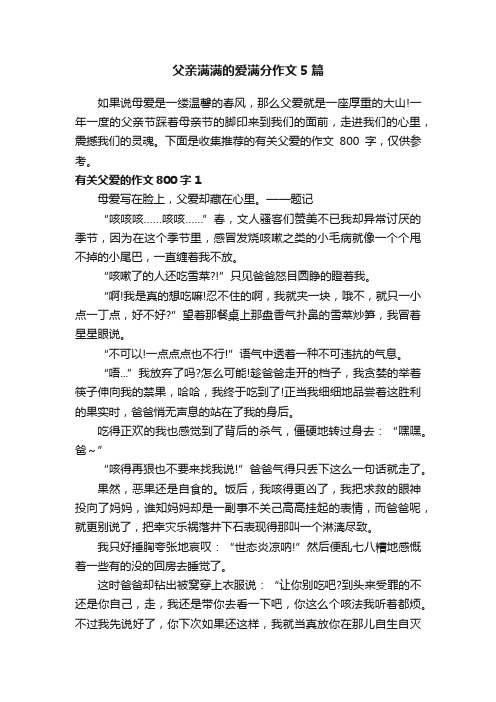 父亲满满的爱满分作文5篇