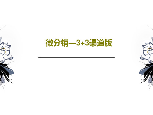 微分销—3+3渠道版共55页文档