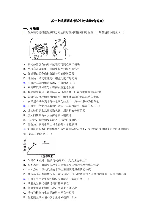 高一上学期期末考试生物试卷(含答案)