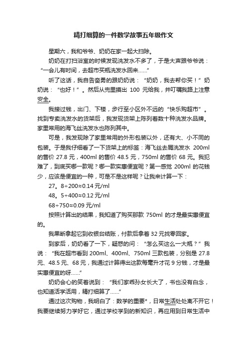 精打细算的一件数学故事五年级作文