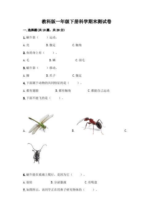 教科版一年级下册科学期末测试卷附参考答案(实用)