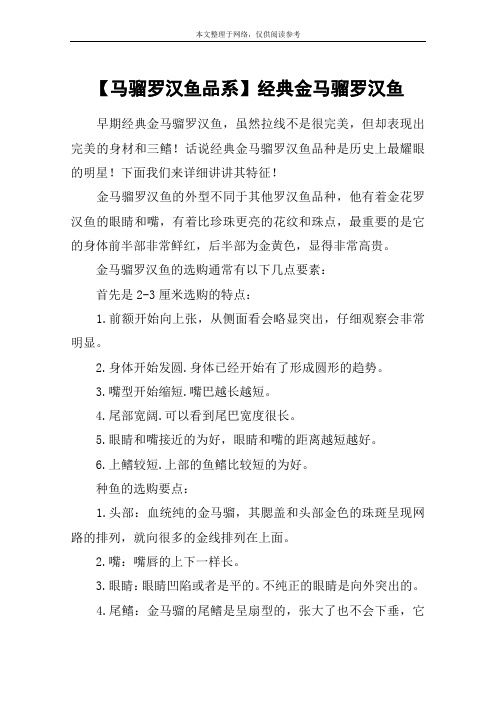 【马骝罗汉鱼品系】经典金马骝罗汉鱼